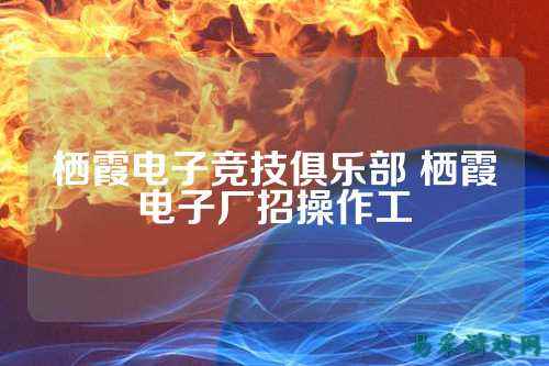 栖霞电子竞技俱乐部 栖霞电子厂招操作工