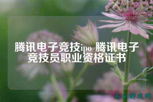 腾讯电子竞技ipo 腾讯电子竞技员职业资格证书