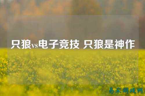 只狼vs电子竞技 只狼是神作
