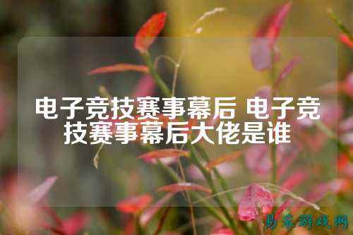 电子竞技赛事幕后 电子竞技赛事幕后大佬是谁