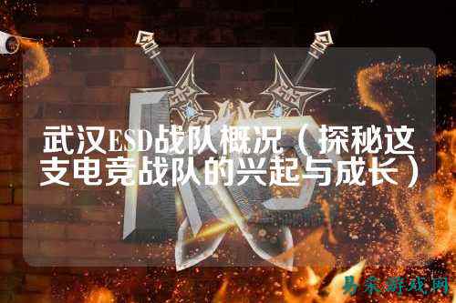 武汉ESD战队概况(探秘这支电竞战队的兴起与成长)