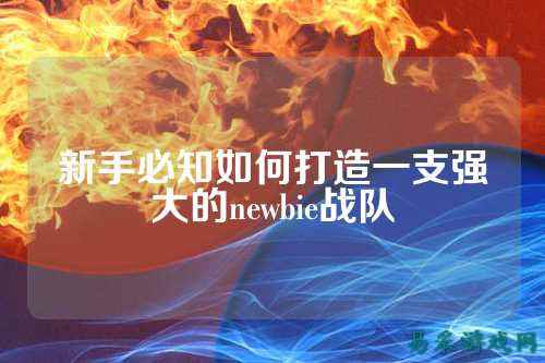 新手必知如何打造一支强大的newbie战队