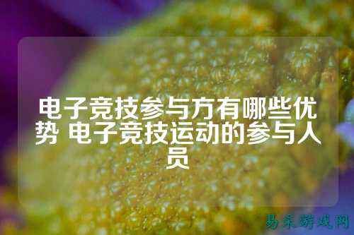 电子竞技参与方有哪些优势 电子竞技运动的参与人员