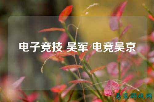 电子竞技 吴军 电竞吴京