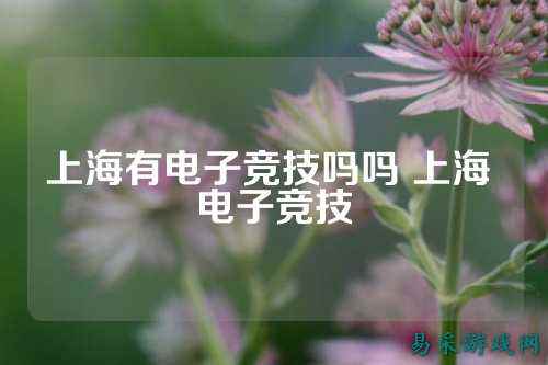 上海有电子竞技吗吗 上海 电子竞技