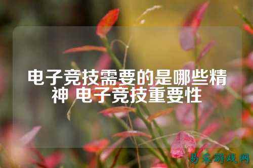 电子竞技需要的是哪些精神 电子竞技重要性