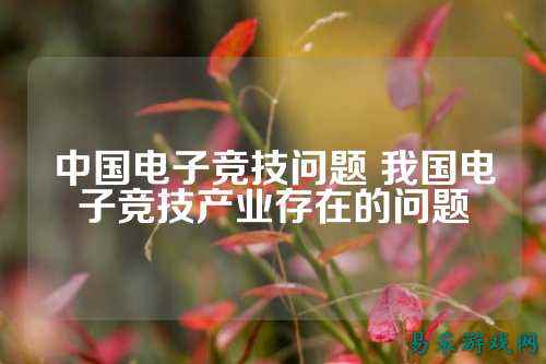 中国电子竞技问题 我国电子竞技产业存在的问题