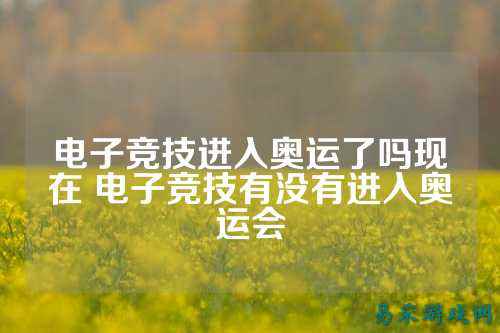 电子竞技进入奥运了吗现在 电子竞技有没有进入奥运会