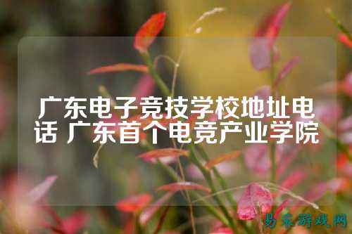 广东电子竞技学校地址电话 广东首个电竞产业学院