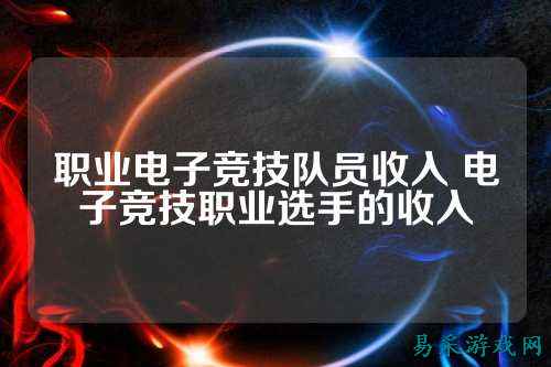 职业电子竞技队员收入 电子竞技职业选手的收入