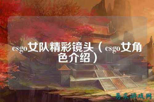 csgo女队精彩镜头（csgo女角色介绍）