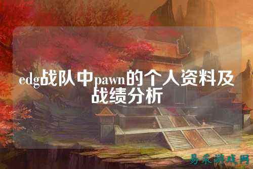 edg战队中pawn的个人资料及战绩分析