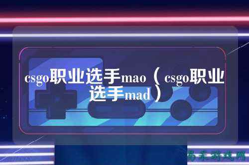 csgo职业选手mao(csgo职业选手mad)