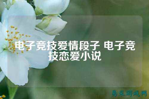 电子竞技爱情段子 电子竞技恋爱小说