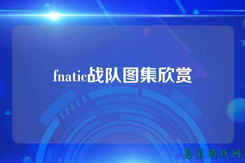 fnatic战队图集欣赏