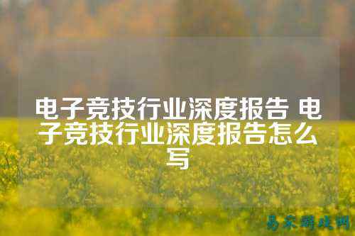 电子竞技行业深度报告 电子竞技行业深度报告怎么写