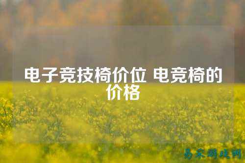 电子竞技椅价位 电竞椅的价格