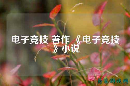 电子竞技 著作 《电子竞技》小说
