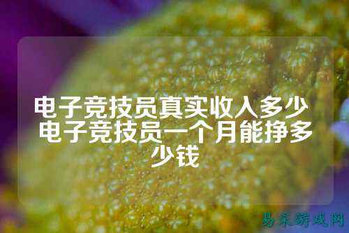 电子竞技员真实收入多少 电子竞技员一个月能挣多少钱