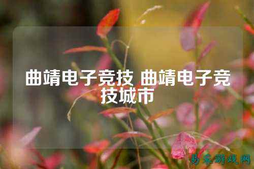 曲靖电子竞技 曲靖电子竞技城市