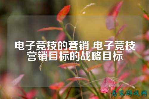 电子竞技的营销 电子竞技营销目标的战略目标