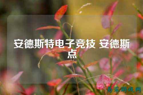 安德斯特电子竞技 安德斯点