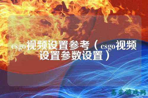 csgo视频设置参考（csgo视频设置参数设置）