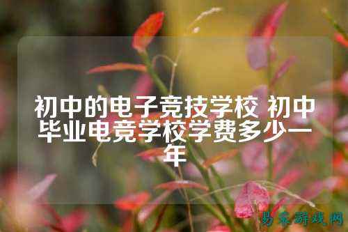 初中的电子竞技学校 初中毕业电竞学校学费多少一年