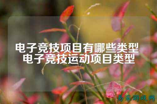电子竞技项目有哪些类型 电子竞技运动项目类型