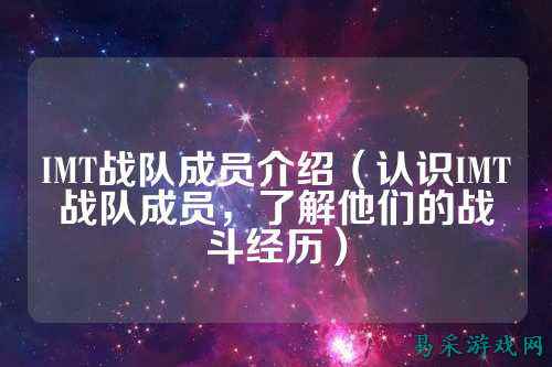 IMT战队成员介绍(认识IMT战队成员,了解他们的战斗经历)
