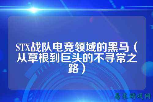 STX战队电竞领域的黑马(从草根到巨头的不寻常之路)