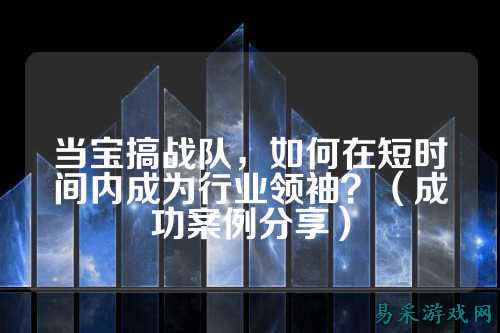 当宝搞战队，如何在短时间内成为行业领袖？（成功案例分享）