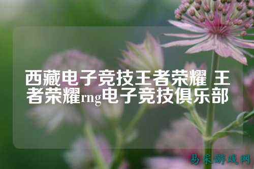 西藏电子竞技王者荣耀 王者荣耀rng电子竞技俱乐部