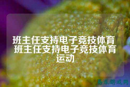 班主任支持电子竞技体育 班主任支持电子竞技体育运动