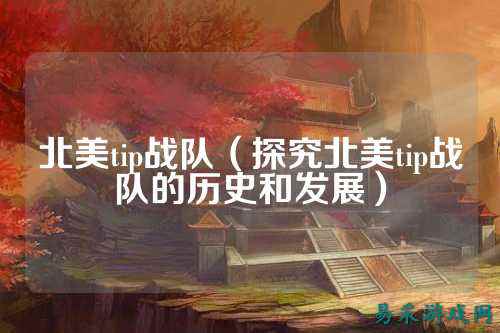 北美tip战队(探究北美tip战队的历史和发展)