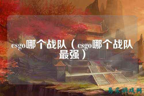 csgo哪个战队(csgo哪个战队最强)