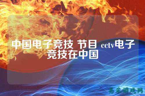 中国电子竞技 节目 cctv电子竞技在中国