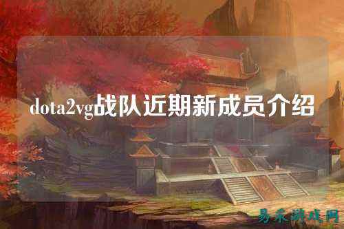 dota2vg战队近期新成员介绍