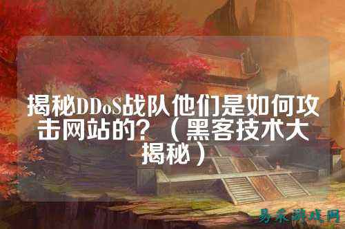 揭秘DDoS战队他们是如何攻击网站的？（黑客技术大揭秘）