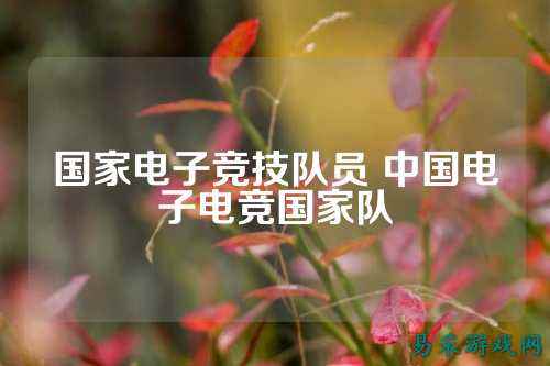 国家电子竞技队员 中国电子电竞国家队