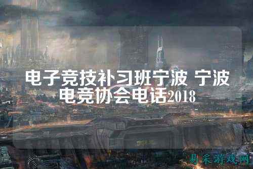 电子竞技补习班宁波 宁波电竞协会电话2018