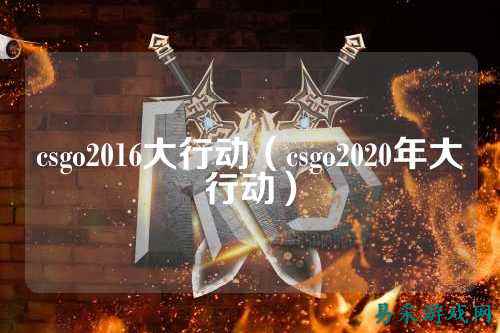 csgo2016大行动(csgo2020年大行动)