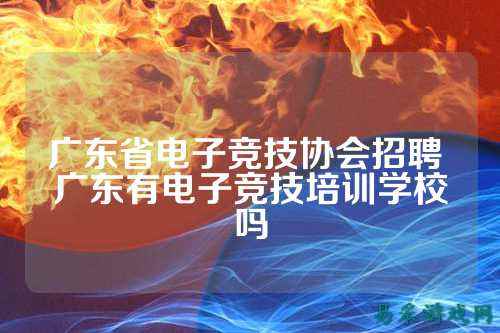 广东省电子竞技协会招聘 广东有电子竞技培训学校吗