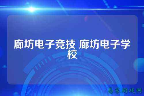 廊坊电子竞技 廊坊电子学校