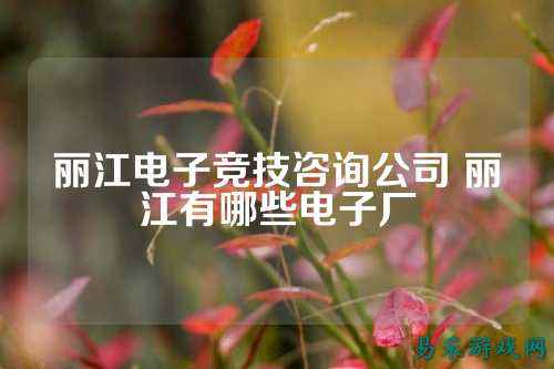丽江电子竞技咨询公司 丽江有哪些电子厂