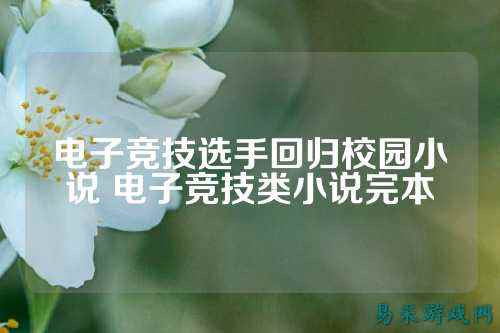 电子竞技选手回归校园小说 电子竞技类小说完本