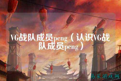 VG战队成员peng（认识VG战队成员peng）