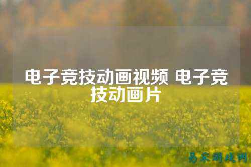 电子竞技动画视频 电子竞技动画片