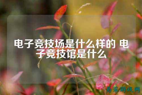 电子竞技场是什么样的 电子竞技馆是什么