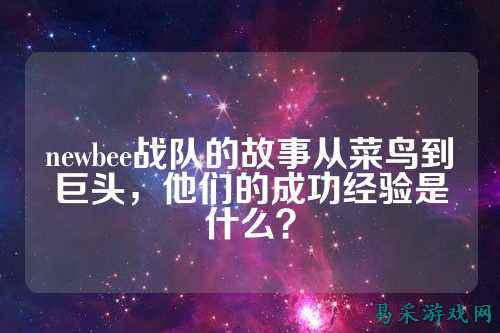 newbee战队的故事从菜鸟到巨头，他们的成功经验是什么？